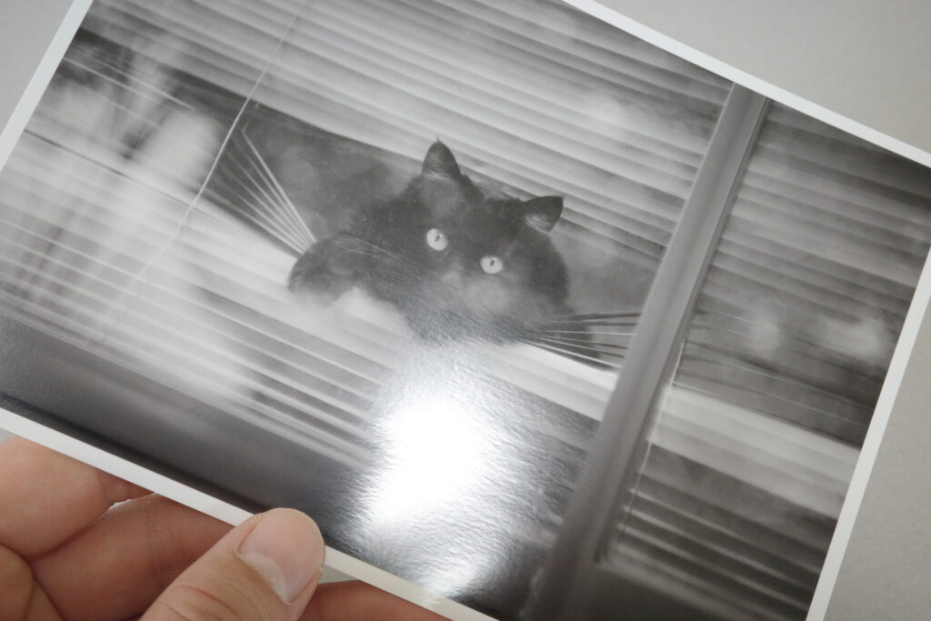 EPSON 写真用紙光沢 試し印刷 プリント