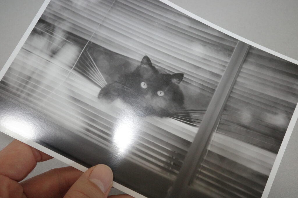EPSON 写真用紙光沢 試し印刷 プリント