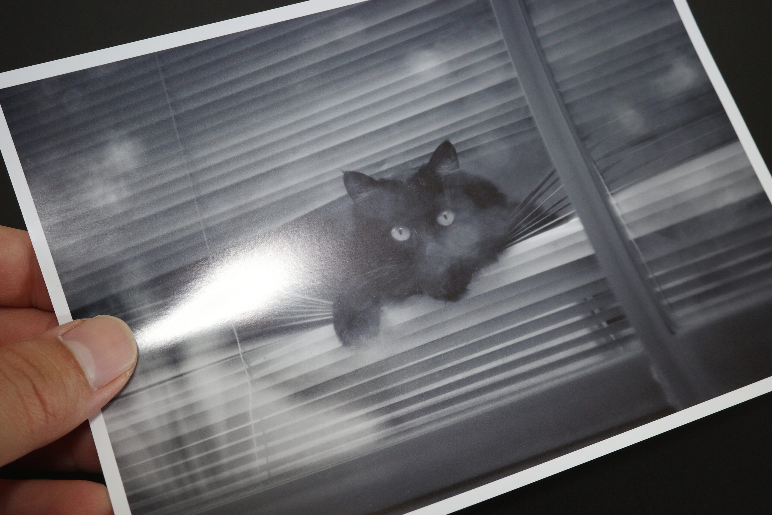ELECOM 写真用光沢紙 バリュー 厚手 薄手 試し印刷・プリント